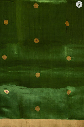 Chanderi Silk - Saree - Moss Green with Round Gold Motifs