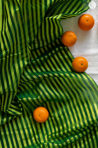 Chanderi Silk Cotton - Saree - Light Green with Bottle Green stripes