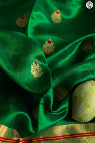 Chanderi Silk - Bottle Green with Gold Foliage motifs