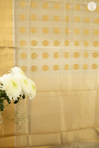 Chanderi Silk - Saree - Light Tan with leaf motifs and broad zari border